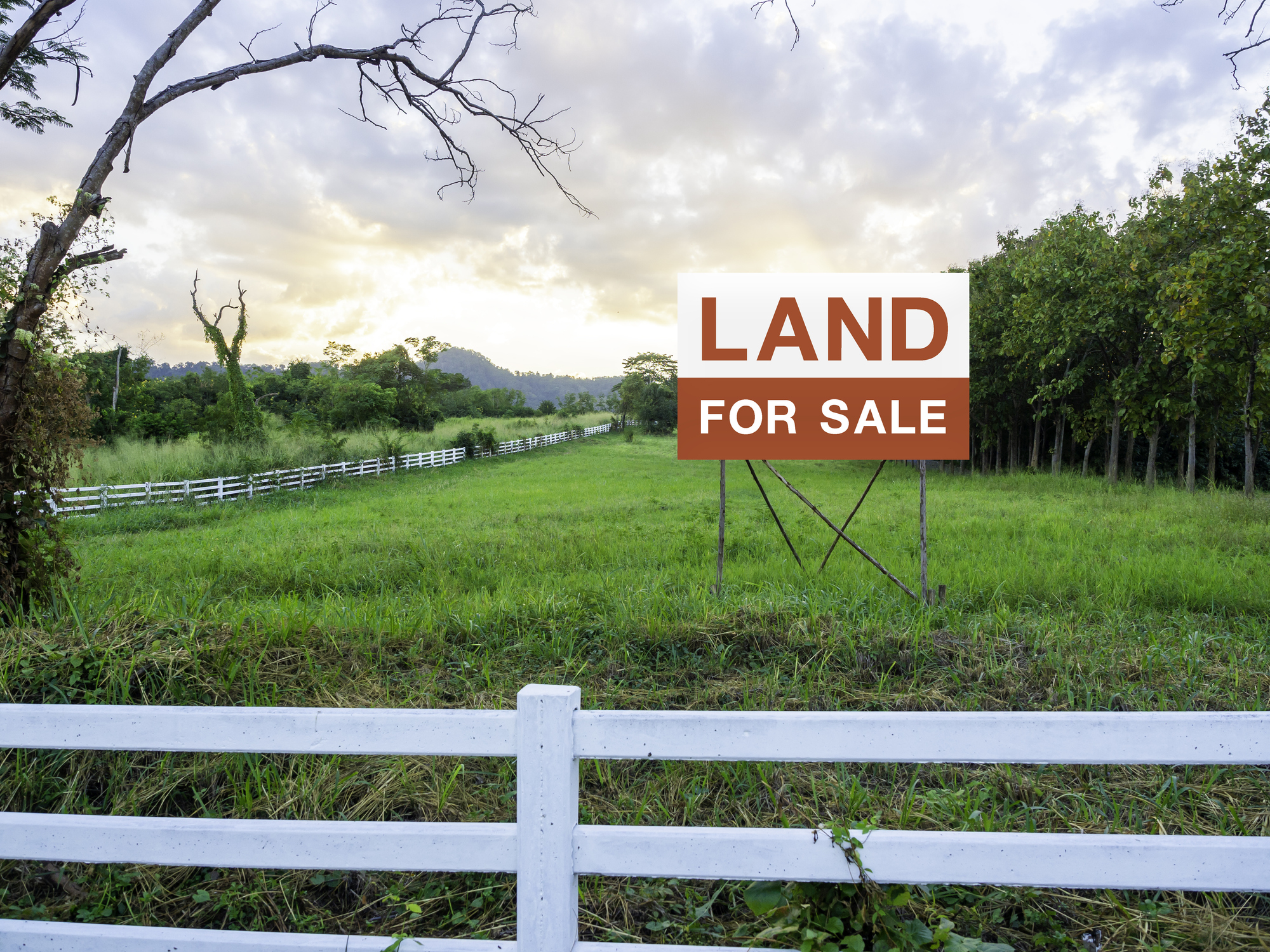 Land for sale sign on empty land. mccracken law